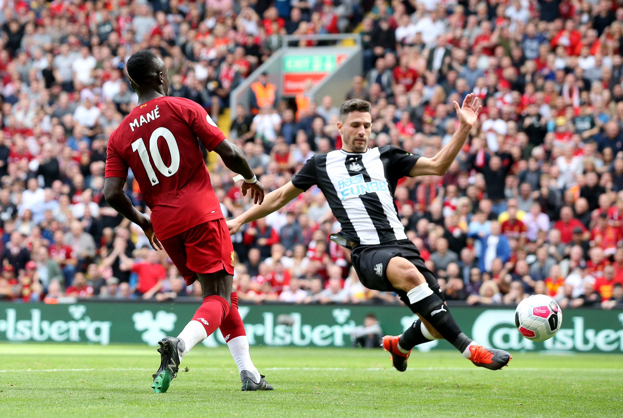 从执教篮网 从执教篮网