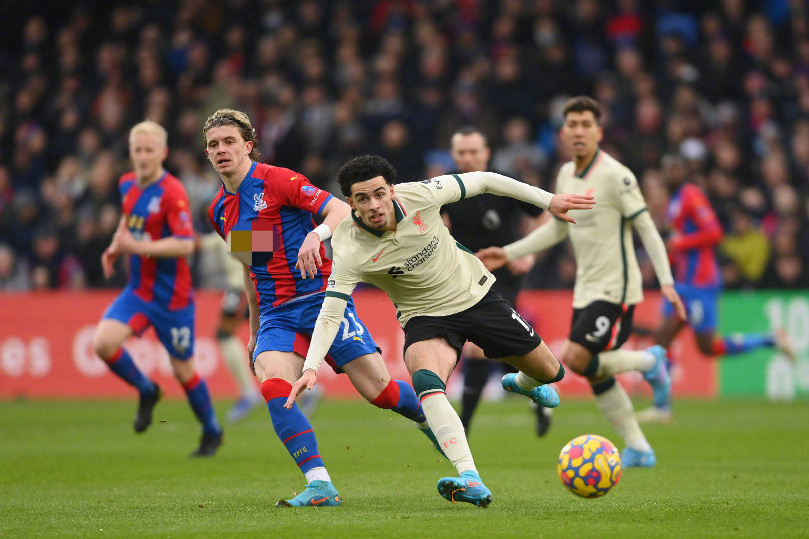 我可以帮你 我可以帮你