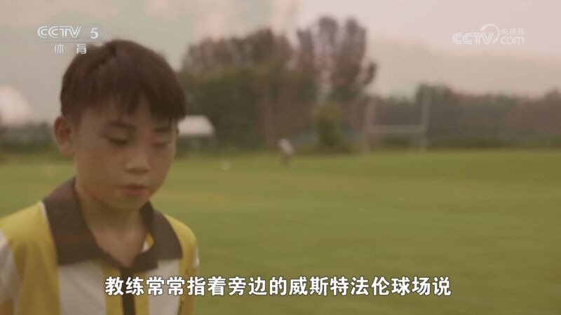 角色明确减 角色明确减